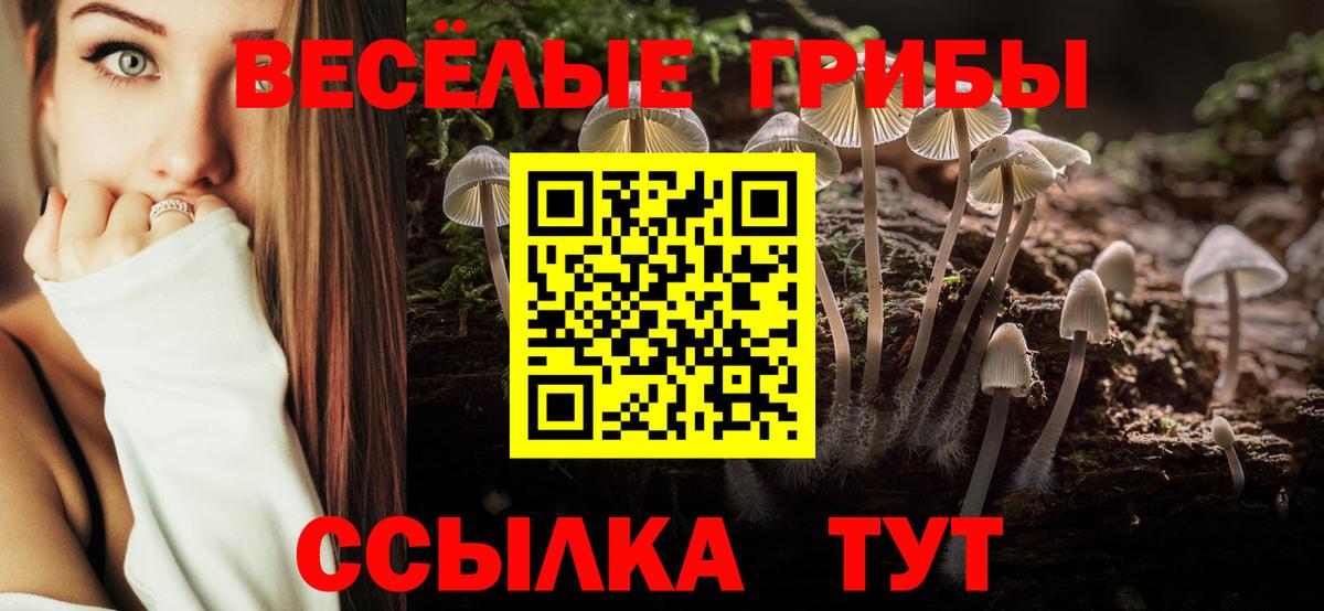 Галлюциногенные грибы MAGIC MUSHROOMS Уварово