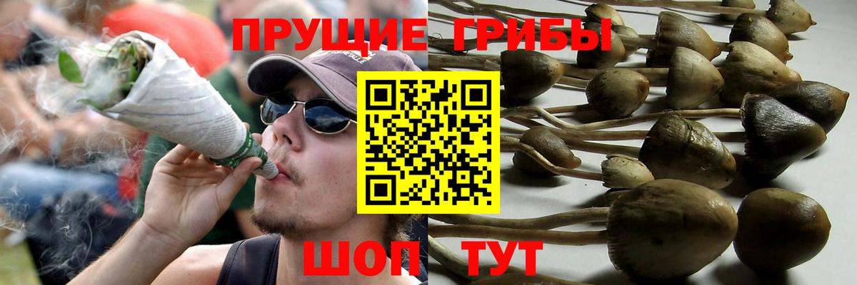 Галлюциногенные грибы MAGIC MUSHROOMS  Вход с VPN  Уварово  Псилоцибиновые грибы MAGIC MUSHROOMS 